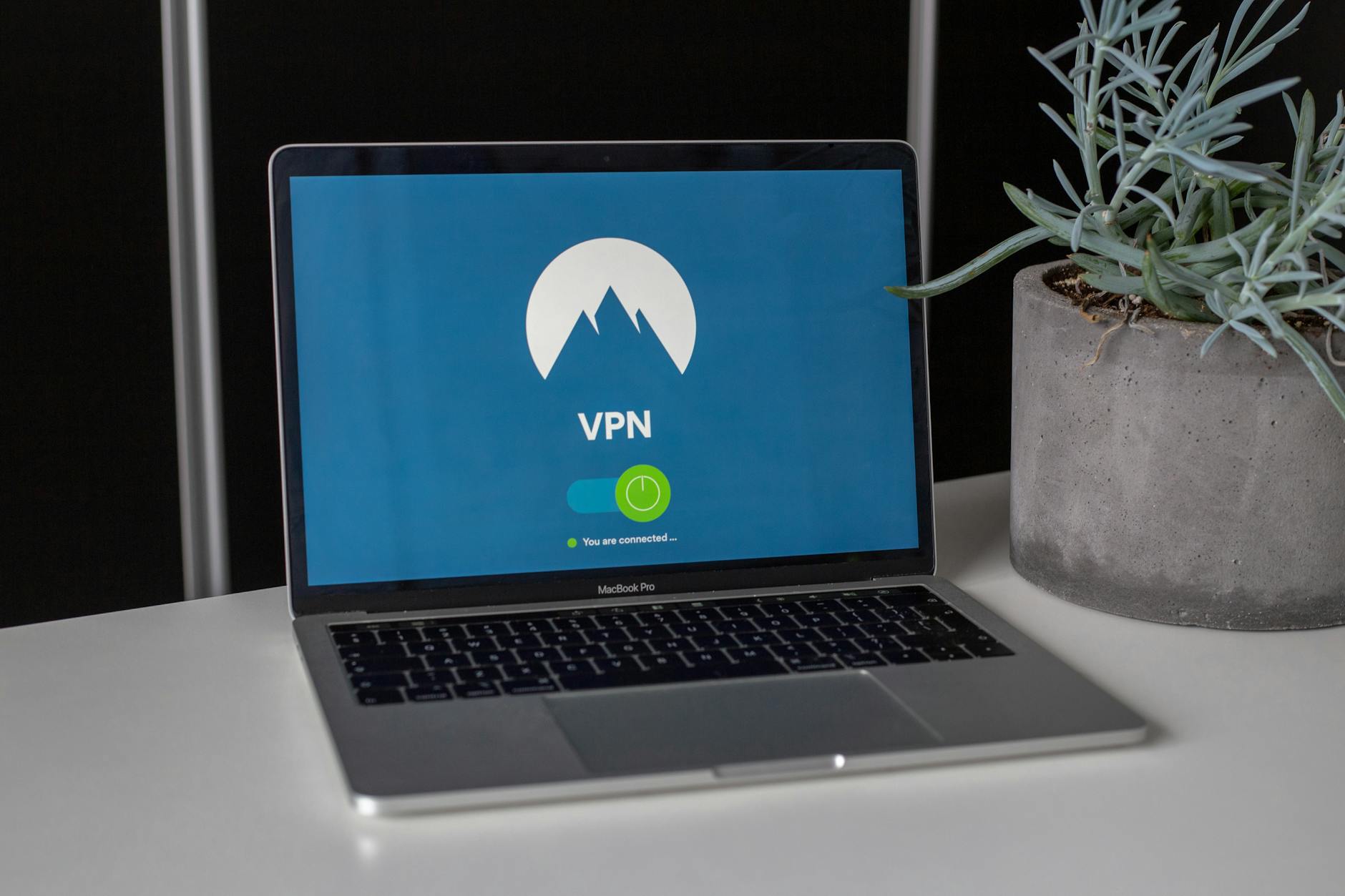 Laptop z włączonym VPN na biurku obok sukulenta, symbol prywatności internetu